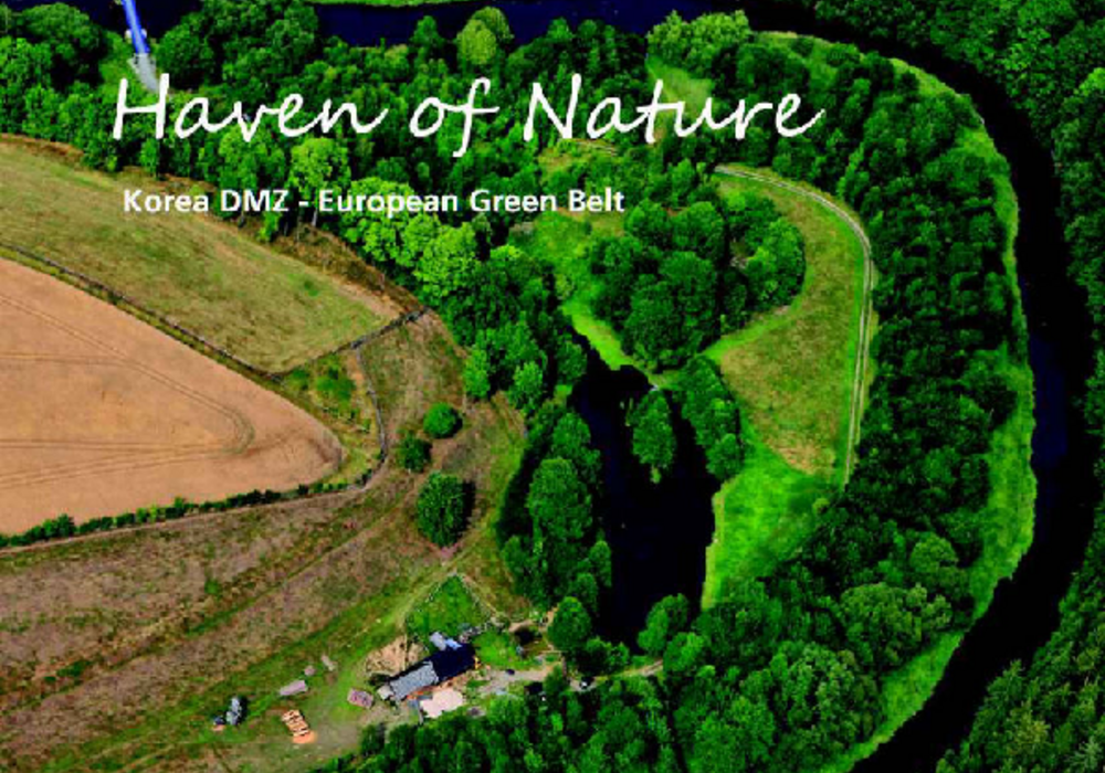 Green Belt Initiative 